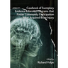 Casebook of Exemplary Evidence-Informed Programs That Foster Community Participation After Acquired Brain Injury