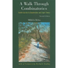 Walk Through Combinatorics, A: An Introduction to Enumeration and Graph Theory (Second Edition)