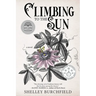 Climbing To The Sun