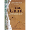 Little Giant: The Story of Aruba's Surf Shop and the Rebels Who Built It