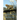 Painting the Cat's Vision