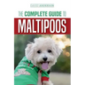 The Complete Guide to Maltipoos: Everything you need to know before getting your Maltipoo dog