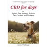 CBD For Dogs: To Reduce Dog Anxiety, Arthritis Pain, Seizure and Epilepsy