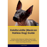 Xoloitzcuintle (Mexican Hairless Dog) Guide Xoloitzcuintle Guide Includes: Xoloitzcuintle Training, Diet, Socializing, Care, Grooming, and More