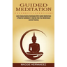 Guided Meditation: Learn Energy Healing Techniques With Guided Meditations (A Powerful Guidebook to Improve Now Your Mindfulness and Self-healing)