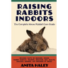 Raising Rabbits Indoors: The Complete House Rabbit Care Guide