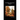 The Book of the Farm. Volume I. (Hardcover)