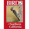 Birds of Northern California