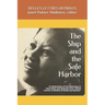 The Ship and the Safe Harbor: A Celebration of Toni Morrison in Interviews and Reviews from Belles Lettres: A Review of Books by Women (1988-1995)