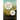 Lights a Lovely Mile: Collected Sermons of the Church Year