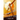 Forbidden Suns