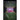 Autobiography Of A Little Jamaican Boy, Survival Of A Delicate Orchid Among Thorny Weeds