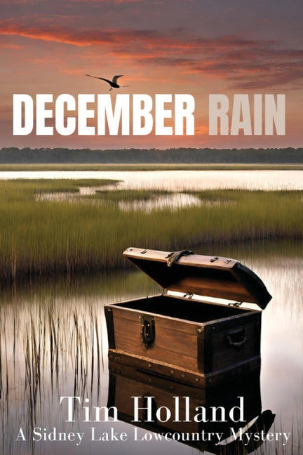 December Rain - Paperback by Books by splitShops