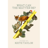 What Can the Matter Be?