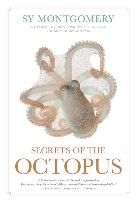 Secrets of the Octopus - Hardcover by Books by splitShops