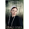 Amish Stranger In The Woods: Amish Mystery Romance