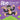 Abe the Farting Ape's April Fool's Day: A Funny Picture Book About an Ape Who Farts For Kids and Adults, Perfect April Fool's Day Gift for Boys and Gi