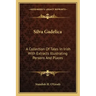 Silva Gadelica: A Collection of Tales in Irish with Extracts Illustrating Persons and Places