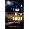 A Bright New Boise