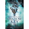 Search for the Shadow Key