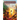 I Survived the California Wildfires, 2018 (I Survived #20): Volume 20