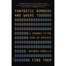 Fantastic Numbers and Where to Find Them: A Journey to the Edge of Physics