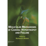 Molecular Mechanisms of Cardiac Hypertrophy and Failure