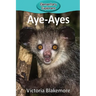 Aye-Ayes