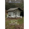 Sacred Dung: Grace to Turn Bad Things Into Good Things