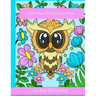 Whimsical Owl Coloring Book