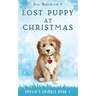 Lost Puppy at Christmas: Amelia's Animals Book 1
