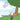 COLTON'S POCKET DRAGON Book 6: Heaven