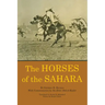 The Horses of the Sahara