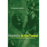 Hierarchy in the Forest: The Evolution of Egalitarian Behavior