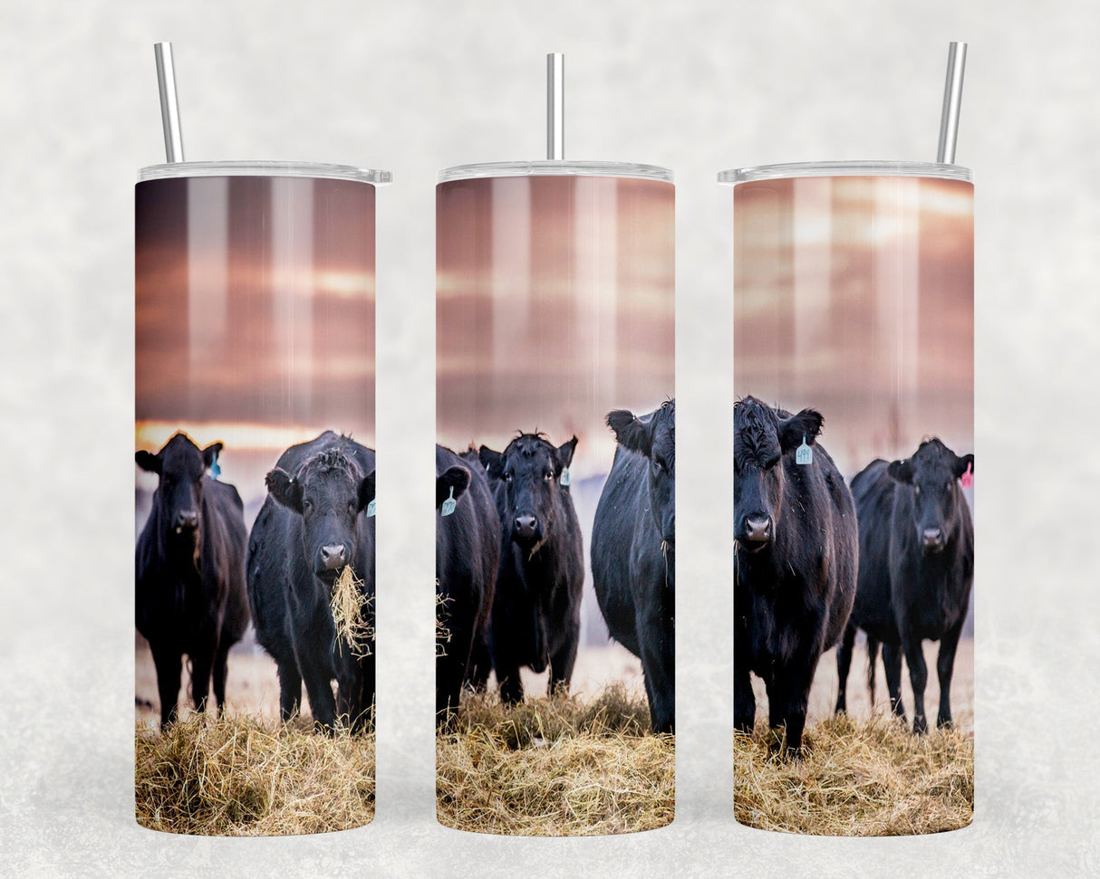 Black Angus Cattle|Skinny Tumbler|Optional Bluetooth Speaker| Speaker Color Varies by Rowdy Ridge Co