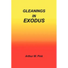 Gleanings in Exodus