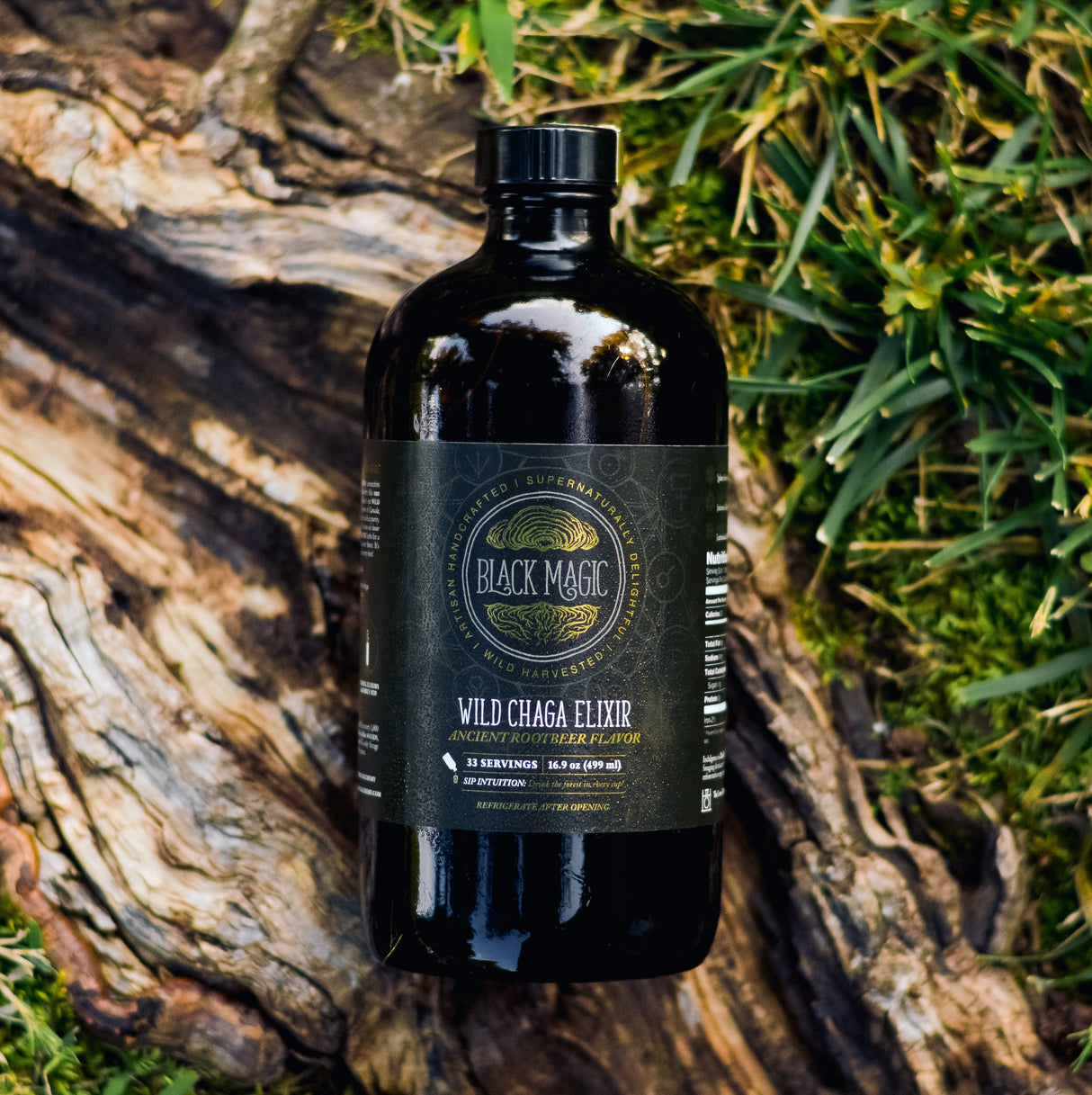 Wild Harvested Chaga Mushroom Rootbeer Elixir by Black Magic Alchemy