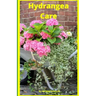 Hydrangea Care: How To Care For Hydrangeas For Beginners - Easy Home Gardening