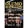 Olumo Rock Lion: Poetizing Engineering and Engineering Poetry (PEEP)