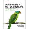 Explainable AI for Practitioners: Designing and Implementing Explainable ML Solutions