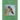 Birds We See