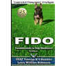 Fido Fundamentals in Dog Obedience: USAF K-9 Handler Training Guide for Pet Dogs