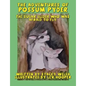 The Adventures of Possum Pyder: The Sugar Glider who was afraid to fly