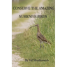 Conserve the Amazing Numenius Birds