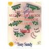 Logic List English: Multi-Syllable Words - Split into Individual Syllables: Vol. 2B