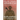 Rolling Through Afghanistan: Life as a Combat Medic Enduring PTSD
