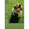 How To Train A Hunting Dog