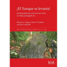 ¡El Yunque se levanta!: Interdisciplinarity and activism at the La Mina petroglyph site