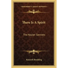 There Is a Spirit: The Nayler Sonnets