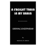 A Freight Train in My Brain: Surviving Schizophrenia